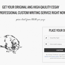 Review On EssayBison.com