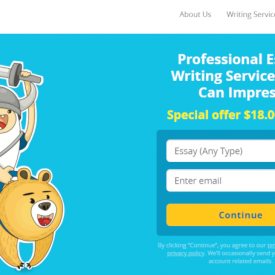 A Review of Essayvikings.com